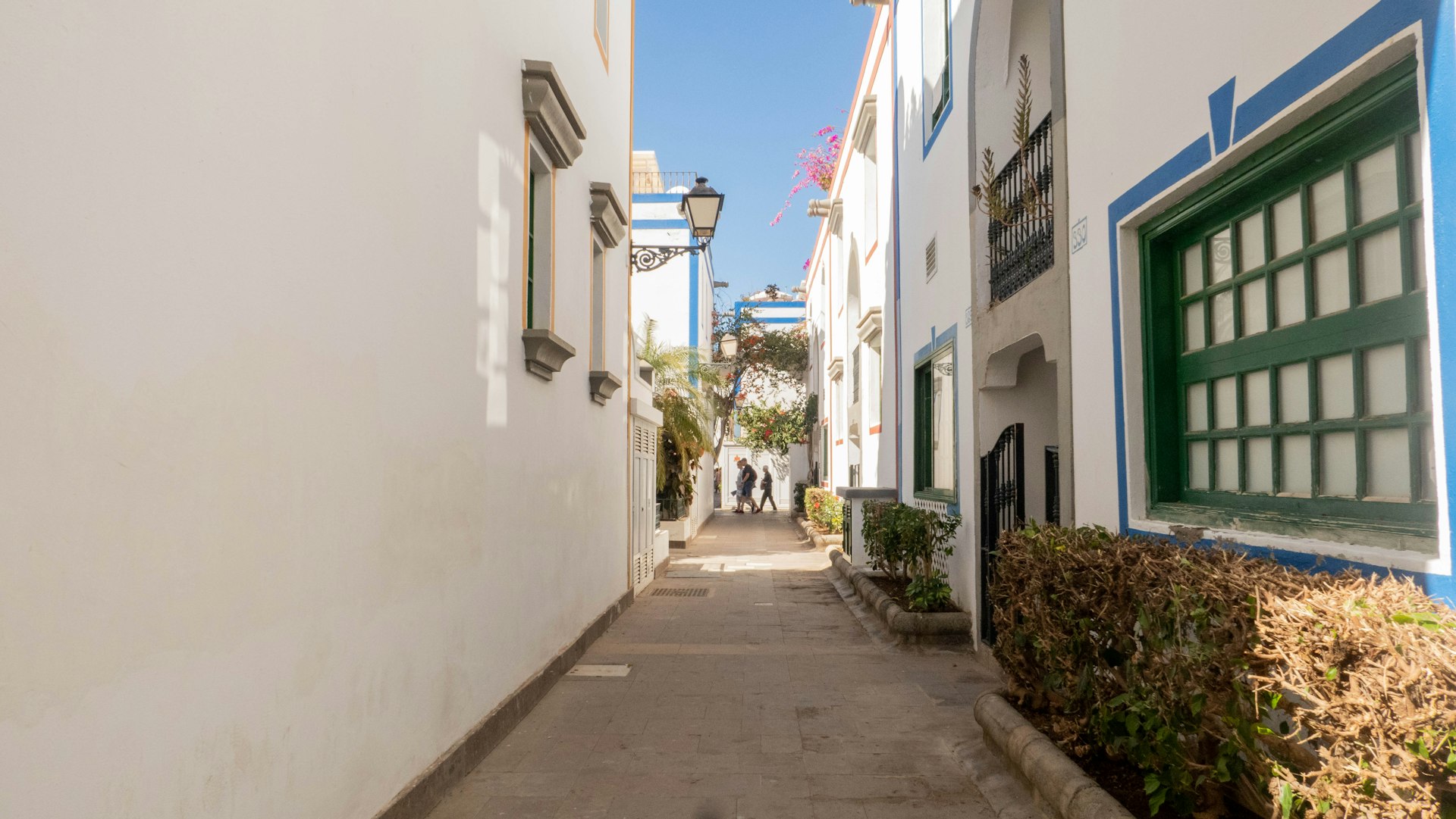 Lanzarote landscape