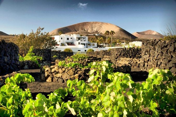 Finca de la Florida San Bartolomé Lanzarote — restored Canarian finca in the quiet centre of the island with lava-field views