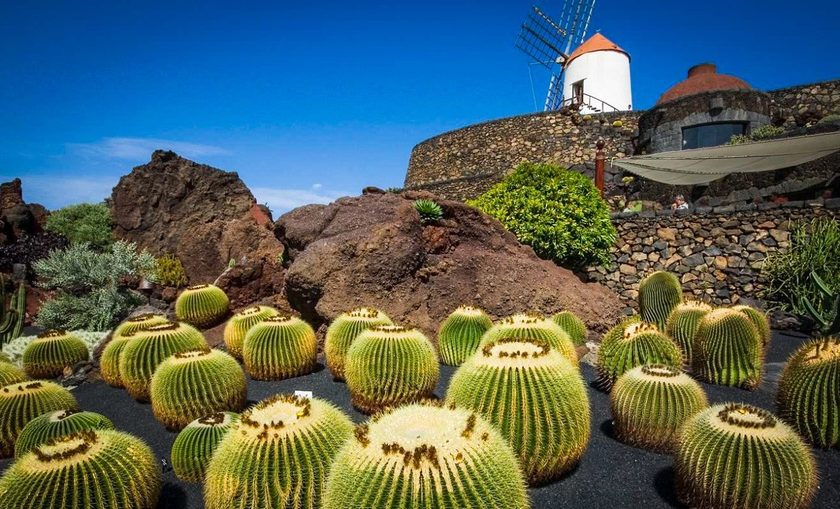 Jardín de Cactus Lanzarote — terraced cactus garden with hundreds of species in a restored volcanic quarry under blue Canarian sky