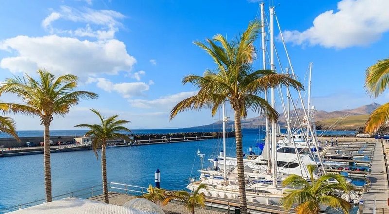 Puerto Calero marina Lanzarote — luxury yachts docked at pier with palm trees and mountains in the background