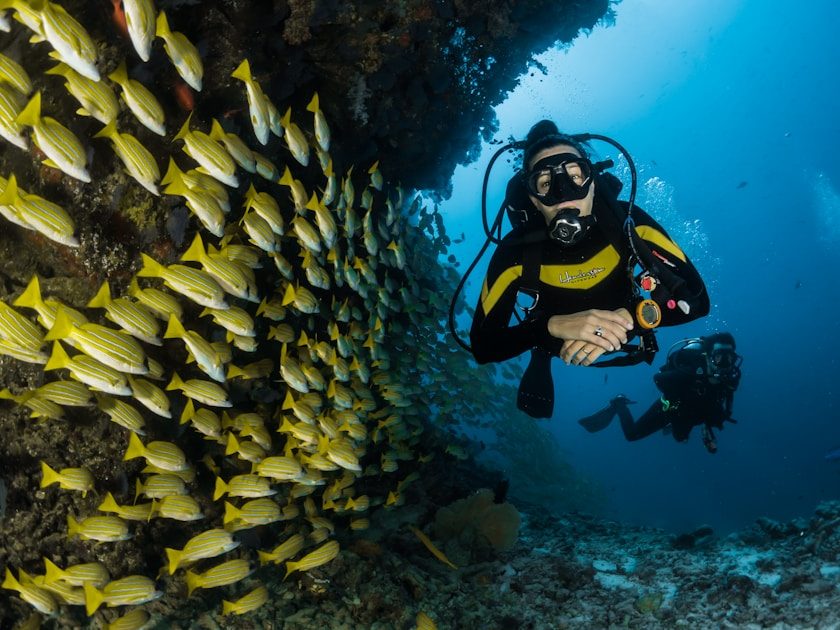 Scuba diving Museo Atlantico Lanzarote — underwater museum with submerged human figure sculptures by artist Jason deCaires Taylor